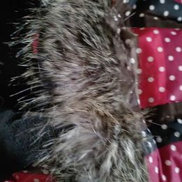 Roxy LYŽAŘSKÁ DÍVČÍ zimní péřová bunda S PRAVOU kožešinou - 7