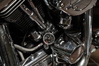 Harley Davidson Softail Springer EVO - 7