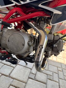 Pitbike 125cc Thunder - 7
