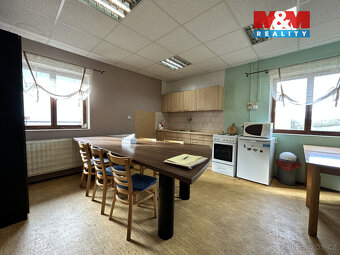 Pronájem výrobního objektu, 2400 m², Litenčice - 7