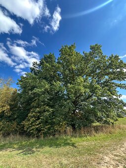 Prodej pozemku 637 m² – Otovice - 7