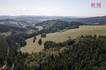 Prodej lesa, 8743 m², Valašská Senice - 7