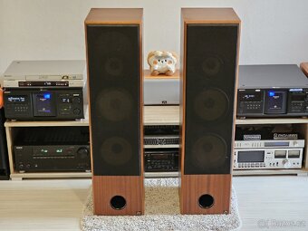 AQ Labrador 6 Reproduktory - 7