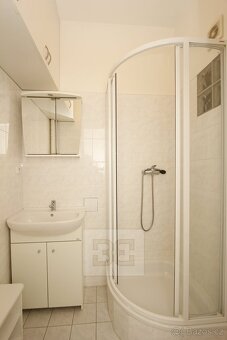 Pronájem bytu 1+kk, Vinařská, Praha 7, ev.č. N08178 - 7