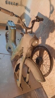 Jawetta 551 - 7