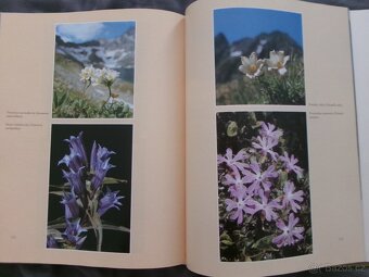 Zlatá kniha Slovenska. - 7