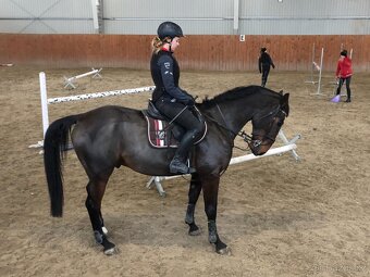 Valach po Grand Step - 7