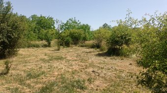 Prodej stavebního pozemku se zahradou v obci Kozomín - 7