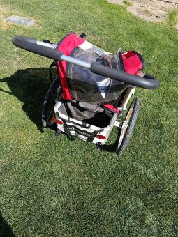 Cougar 1 Chariot - 7