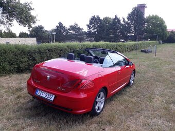 Peugeot 307 cc cabrio - 7