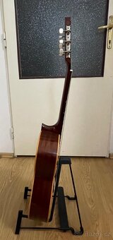 Hofner - 7