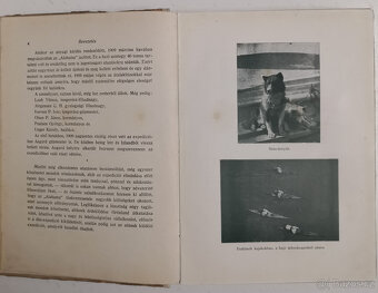 A sarkvidék remetéje 1916 - 7