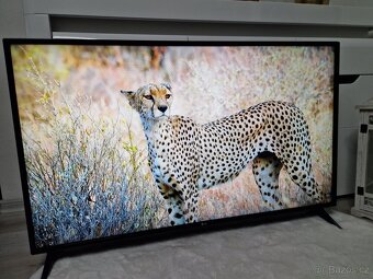 Smart Televize LG 49LJ594V - 7