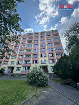 Pronájem bytu 2+1, 55 m², Cheb, ul. Svobody - 7