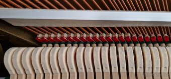 Piano Solton - Renner - 7