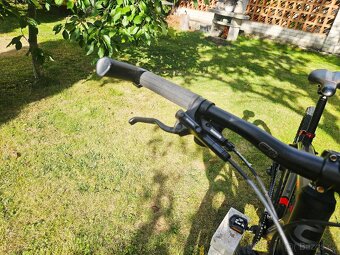 Cannondale Trail 6 29 - 7