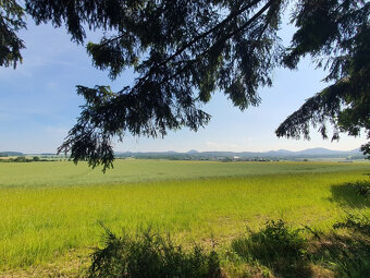 Prodej pozemku v Dubé, Českolipsko. - 7