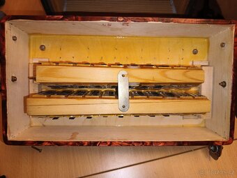Harmonika Delicia Popular CF - 7