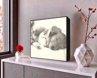 SVĚTELNÝ BOX na míru (1 fotografie) - 7