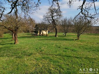 Prodej velké zahrady s chatkou, celkem 2 257 m2 - Ponětovice - 7