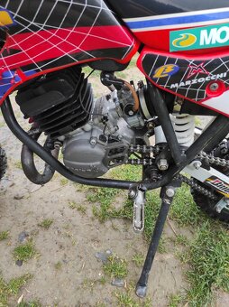 Beta minicross R10/R12 50cc - 7