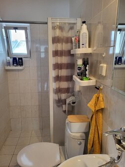 Prodej prostorného rodinného domu v Doudlebách n.Orl. - 7