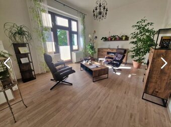 Luxusní historická vila + 11garáží + rybník + 4000m2 zahrada - 7