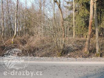 Soubor pozemků 9 293 m2, obec Semanín, okr. Ústí nad Orlicí - 7