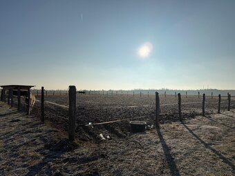 Ustájení 24/7 pro hříbě - 7