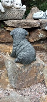 Zahradní dekorace- Anglický buldoček - 7