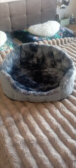 Pelíšek CASPER FOX 70cm - 7