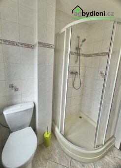 Pronájem vybaveného bytu 1+kk, Město Touškov - 7