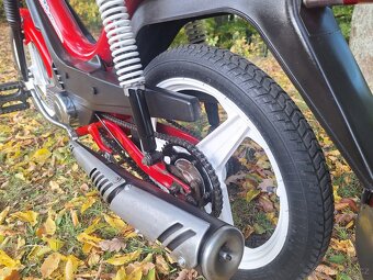 Manet korado v pěkném stavu - 7