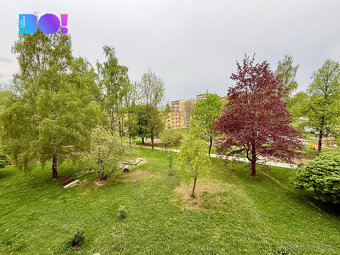 Pronájem bytu 1+1, 36 m², ul. Karolíny Světlé, Havířov-Podle - 7