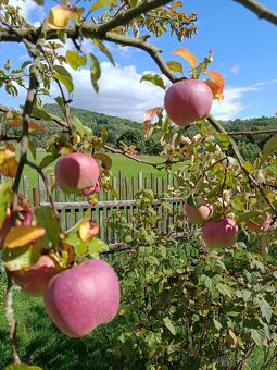 Rodinný dům Radeč u Horní Police - 7