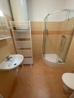 Pronájem bytu 1+kk 28 m² - 7