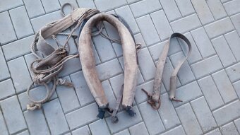 Chomout 2ks - 7