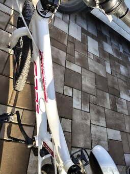 Kolo core niper vel.20 - 7