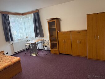 1+1 pronájem - 7