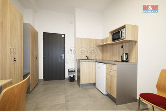 Pronájem ubytovacího zařízení, 300 m², Dalovice, Botanická - 7