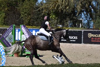 Prodej závodní stáje z důvodu ZDRAVÍ - 7