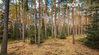 Prodej pozemek Lesy, 13718㎡ - 7