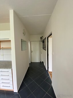 Pronajmu byt 1+1 - 7