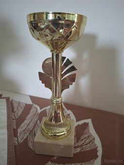 Krásné poháry - 7