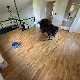 Dubová třívrstvá podlaha - 10,64 m2 - 7