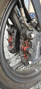 Triumph tiger 1200 Alpine edition - 7