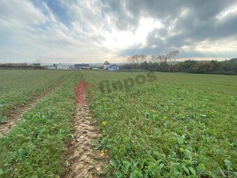 Prodej parcely 1000 m2 k investici, v Domašíně u Vlašimi 45  - 7