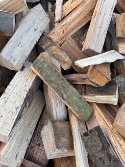 Palivové dřevo - 7