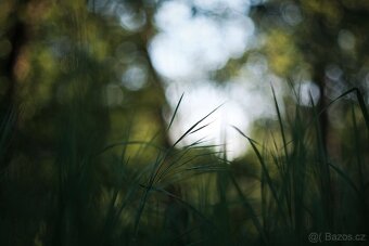 Fujinon 55mm f/1.8 - (M42) - 7