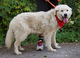 Coraz hledá domov - 7